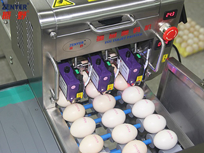 ماكينة الطباعة على البيض 403H