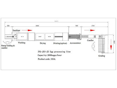 خط معالجة البيض 300A (3000 بيضة في الساعة)
