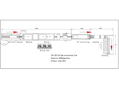 خط معالجة البيض 301A (5000 بيضة في الساعة)