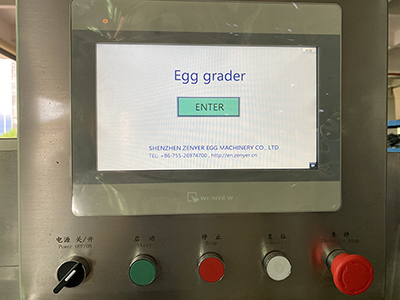 خط معالجة البيض 303B مع وظيفة التنظيف والفرز (20000 بيضة في الساعة)