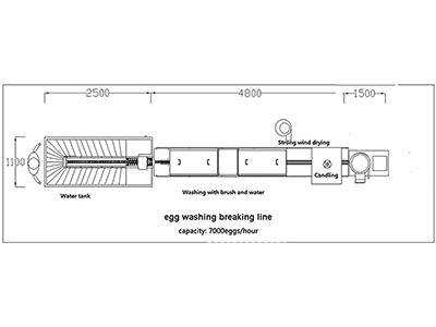 خط معالجة البيض 300C (10000 بيضة في الساعة)