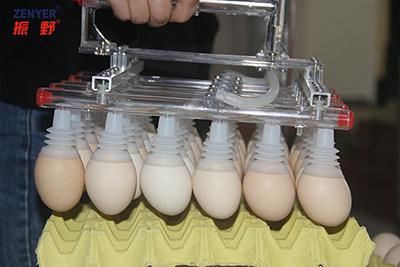 آلة مناولة البيض الفراغية 602